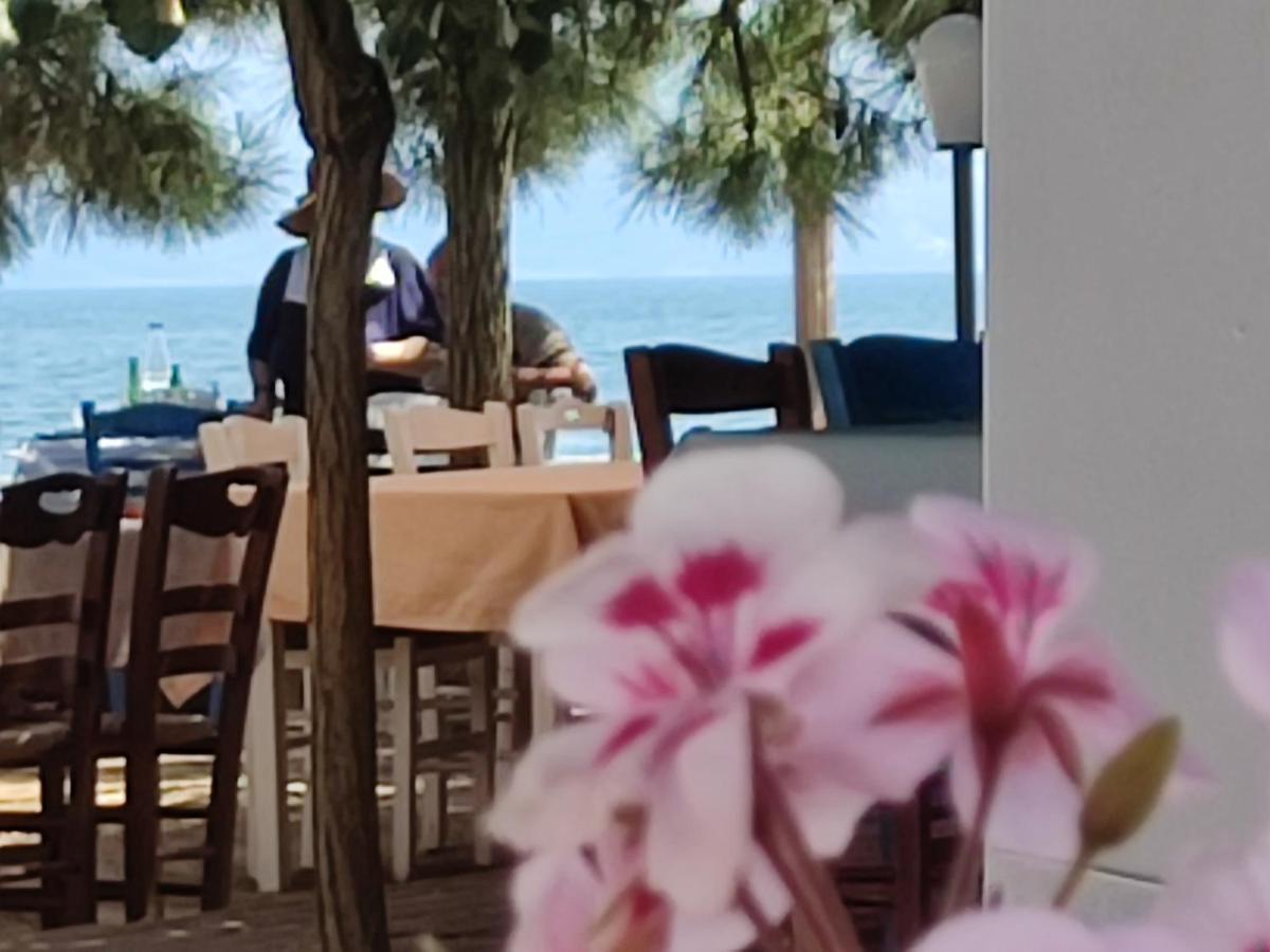 فيلا Look To The Sea ني كارفالي المظهر الخارجي الصورة